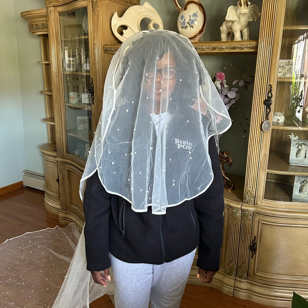 400cm Ivory Pearl Veil with Blusher - Picture 5 of 6